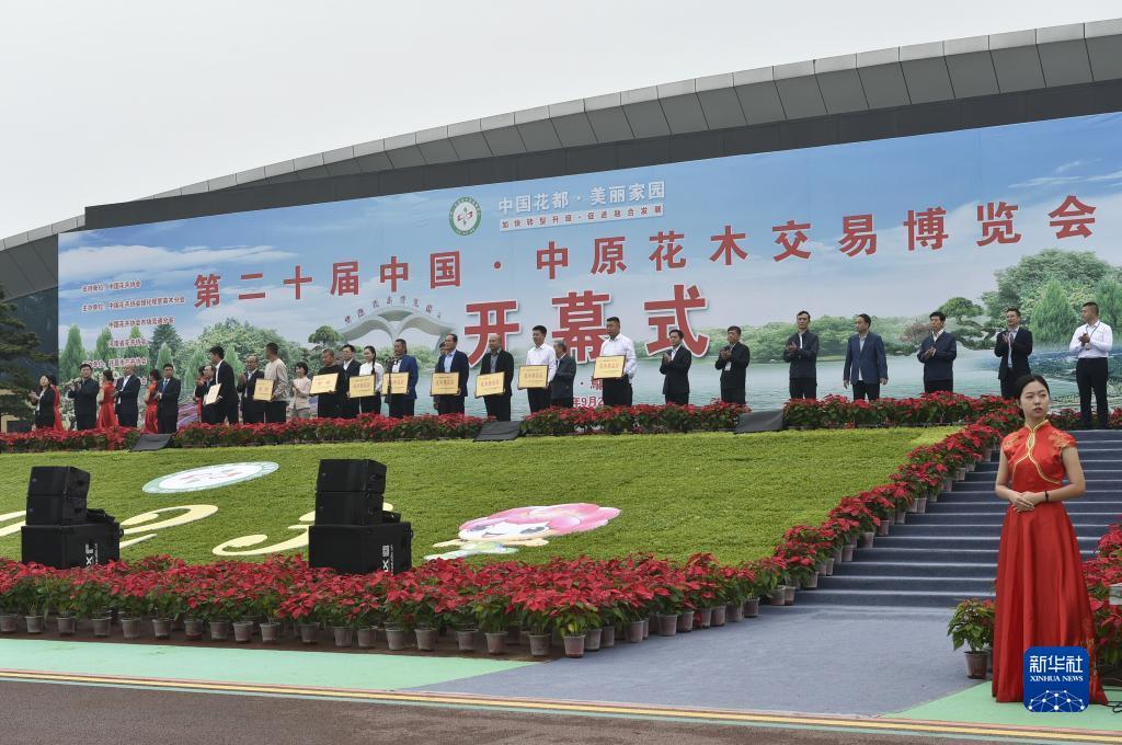 恒丰娱乐